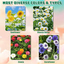 Indoor Daisy Garden Starter Kit, 4 Flower Seeds Growing into Shasta Daisy, Cornflower, Sunflower, Zinnia, Including Complete Gardening Tools, Christmas Gifts for Women Men & Beginners by GreenHaven Gardens