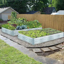 Galvanized Raised Garden Beds for Vegetables Large Metal Planter Box Steel Kit Flower Herb (8 x 4 x 1 ft * 2 Pack, Galvanized) by GreenHaven Gardens