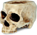 READAEER Skull Planter with Drain Hole, Resin Skull Shaped Flower Pot Candy Bowl, Gothic Decoration for Home Office Desk- White by CozyNest Decor