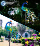 DREAMSOUL Metal Peacock Garden Solar Lights Outdoor Decorative Garden Stake Lights- Waterproof Peacock Solar Landscape LED Path Light Patio Yard Lawn Outside Decoration by GreenHaven Gardens