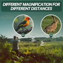 10-30x25 Small Compact Binoculars for Adults - WOZEL High Powered Zoom Binoculars for Bird Watching Hunting Hiking Travel Sports - Lightweight Binocular with Large & Bright Field of View for Kids by TinyTreasures Baby Boutique