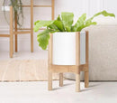 D'vine Dev Planter Pot with Stand - 8 Inch Plastic Cylinder Flower Pot with Wood Planter Holder for Indoor, Matte White Pot + Natural Stand, 55-C-J-1 by GreenHaven Gardens