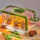 Kids Plant Growing Kit, Kids Gardening Greenhouse Growing Kit with Drip Irrigation and Grow Lights, Science STEM Toys Terrarium Kit for Boys Girls 3 4 5 6 7 8 Year Old,Kids Flower Growing Kit by TinyTreasures Baby Boutique