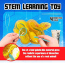 Rattlesnake Super Lab Dissect It Kit for Kids, Synthetic Dissection Kids Science Kit to Learn Biology, STEM Toys for 6 Year Old and Up by TinyTreasures Baby Boutique