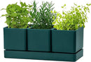 D'vine Dev Herb Garden Planter Set, Plastic Plant Pots with Drainage and Saucer, Indoor Succulent Cactus Vegetable Pot for Windowsill, Garden Balcony, Green, Set of 1, 76-V-C-1 by GreenHaven Gardens