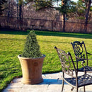 30" Artificial Boxwood Topiary Trees Outdoor Set of 2 - UV Resistant Faux Plants for Front Porch Outside Planter, Realistic Fake Cone-Shaped Bushes & Shrubs 2.5ft by GreenHaven Gardens