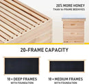 CREWORKS Bee Hive Boxes 10 Frame Langstroth Beehive, Bee Keeping Starter Kit Includes 1 Super Bee Box & 1 Bee Brood Box with Beehive Frames and Foundation, 2 Layers Complete Bee Hive Kit by GreenHaven Gardens