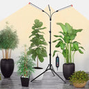 3-Head Grow Lights for Indoor Plants with Stand 27W, LED Plant Grow Light for Tall Houseplants, Bonsai Tree, Full Spectrum Growing Lamp with 4,8,12 Hr Timer, 24"-64" Adjustable Height by GreenHaven Gardens