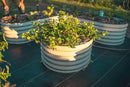 Vego garden 17" Tall 42" Round Raised Garden Bed Metal Raised Bed Planter Box for Vegetables Flowers Patio, Pearl White by GreenHaven Gardens