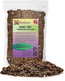 Money Tree Potting Soil, Soil Mix for Planting or Repotting Guiana Chestnut, Soil Blended to Properly Grow Money Tree Plants - (3 Quart Bag) by GreenHaven Gardens