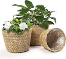 Athaliah Plant Basket, 3 PCS Plant Baskets Indoor with Plastic Liner, Water Hyacinth Woven Planters Flower Basket, Planter Basket for Rustic Boho Home Farmhouse Floor Potted Pots Decor by CozyNest Decor