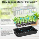 MIXC Seed Starter Tray with Lights, 2 Packs Mini Propagator Plant Grow Kit Greenhouse with Humidity Vented Domes and Base for Seeds Starting, Black by GreenHaven Gardens