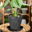 2 Pack of Plant Saucer 8 inch, Black Plastic Flower Plant Pot Saucer, Heavy Duty Plant Drip Trays Saucers for Indoor, Plant Water Tray for Planters by GreenHaven Gardens