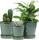 Ceramic Plant Pots,4+5+6 Inch Pots for Indoor Plants,Planters with Drainage Holes and Ceramic Tray, Indoor Flower Pots Gardening Home Desktop Office Windowsill Decoration Gift,Set of 3 (Patina) by GreenHaven Gardens