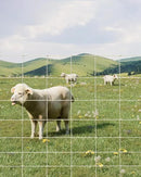 9GA Thickened Heavy Duty Cattle Farm Fence, 4ft x 328ft Galvanized Goat Deer Fence, Heavy Zinc Coating Hog Wire Fencing for Farm Livestock Animals Protection by GreenHaven Gardens