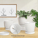 EFISPSS Ceramic Plant Pots Indoor, 5 Inch Planters with Drainage Holes and Ceramic Tray, Relief Design Flower Planter, Desktop Office Windowsill Decoration Gift Set of 4, White by GreenHaven Gardens