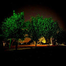 Dazzle Bright Green Christmas String Lights, 100 LED 33 FT Halloween Lights with 8 Modes, Waterproof Christmas Decorations for Indoor Outdoor Holiday Party Home Tree Decor by TinyTreasures Baby Boutique