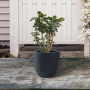 Kante 10 Inch Dia Round Concrete Planter, Indoor Outdoor Large Plant Pot with Drainage Hole and Rubber Plug for Home Patio Garden, Charcoal by GreenHaven Gardens