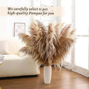 46" inch 11 Stems Natural Pampas Grass Tall Decor,Pompas Grass,Large Borwn Tall Pampas Grass for Floor Vase,Wedding Decorations,Party,Boho Home Decor,and Creating a Boho Ambiance by CozyNest Decor