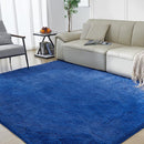 Ultra Soft Rug for Living Room, 5X8 Fluffy Shag Area Rug for Bedroom, Modern Shaggy Carpets Fuzzy Rug for Teens Dorm Nursery Home Decor Aesthetic, Upgrade Anti-Skid Durable, Blue by TinyTreasures Baby Boutique