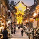 DBFAIRY 19.68" Star Outdoor Christmas Lights, 40 LEDs Christmas Light Up Star with Timer, Hanging Big Star Window Lights Mains Powered for Christmas New Year Holiday Wedding Party Decor, Warm White by GreenHaven Gardens