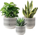 Docrin Plant Pots Ceramic: 6.5+5.3+4 Inch Flower Pots with Drainage Holes for Home/Office - Set of 3/White and Black by GreenHaven Gardens