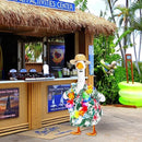 Goose Outfit Lawn Goose Porch Clothing Outfits for Yard Summer Luau 23'' Lawn Outdoor Decoration(Hawaiian Style) by GreenHaven Gardens