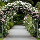 RUBFAC Metal Garden Arch, Wedding & Event Decoration, Garden Trellis for Climbing Plants, Assemble Freely 2 Sizes for Various Climbing Plant Roses Vines Bridal Party Decoration White, 1 Pack by GreenHaven Gardens