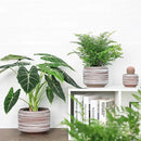 8 Inch + 6 Inch Ceramic Plant Pots Indoor with Drainage – Flower Pot Set, Decorative Indoor Planters for House Plants and Garden Use by CozyNest Decor