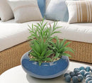 Hollyone Large Artificial Succulents Plants with Blue Vase Faux Succulents Fake Succulent Potted Plant in Ceramic Pot for Home Decor Office Desk Bathroom Living Room Indoor & Outdoor Decorations by GreenHaven Gardens