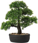 Artificial Bonsai Tree Juniper Faux Plants Indoor Small Fake Plants Decor with Ceramic Pots for Home Table Office Desk Bathroom Shelf Bedroom Living Room Farmhouse Decorations by GreenHaven Gardens