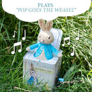 Beatrix Potter Peter Rabbit Jack-in-The-Box, Multi-colored, Standard by TinyTreasures Baby Boutique