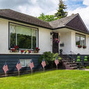 12 Pack 12x18 Inch American Flags for Outside, US Flags with Kid-Safe Spear Top ,American Flags on Stick, Patriotic Decorations,Perfect for Flag Day, Memorial Day, Independence Day Patriotic Holiday Yard Garden Flags by GreenHaven Gardens