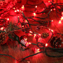 Brizled Red Christmas Lights, 33ft 100 LED Christmas String Lights, 5mm Wide Angle Mini Xmas Tree Lights, 120V UL Certified Connectable Xmas Light for Tree Party Wedding Home Indoor Outdoor Decoration by TinyTreasures Baby Boutique