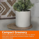 Amazon Basics Fluted Ceramic Round Planter, 8-inch, White by CozyNest Decor