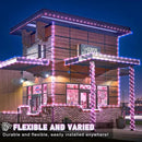Rope Lights for Outside, 66FT 200 LED String Lights Outdoor with Waterproof 8 Modes, Flexible and Connectable Plug in Fairy Light for Indoor Patio Pool Garden Party Wedding Decorations, Pink by GreenHaven Gardens