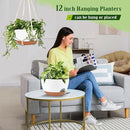 Hanging Planters for Outdoor Indoor Plants, 2 Pack 12 Inch Hanging Basket Plants Outdoor, Self Watering Hanging Planter with Plant Hanger for Garden Home Decoration (White) by GreenHaven Gardens