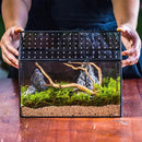 NCYP House Shape Glass Terrarium with Acrylic Lid - 10.2x5.9x8.2 Inches Large Geometric Box for Snails, Ferns, Succulents, Air Plants, Indoor Tabletop Decor, Handmade (Terrarium Only) by CozyNest Decor
