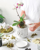 Ceramic Orchid Pot, 6 Inch Orchid Pots with Holes and Saucer for Indoor/Outdoor Plants Drainage & Air Circulation, White Orchid Planter for Repotting or New Plants by GreenHaven Gardens