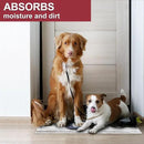 Floor Mat - for Indoor and Outdoor Use - Doormat - Non-Slip - Front Door Shoe Scraper - Size: 17x29 by CozyNest Decor