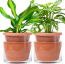 D'vine Dev 6 Inch Design Self Watering Pot for Indoor Plants, Terracotta Planter with Cylinder Glass Cup, Set of 2, 37-X-B-2 by GreenHaven Gardens