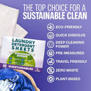 Sudstainables Laundry Detergent Sheets (60 Loads) – Eco-Friendly, Zero Waste, Plastic-Free Laundry Washing Machines Soap Sheets; Dissolvable, Space-Saving Strips for Travel (Lavender) by CozyNest Decor