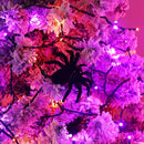 HOME LIGHTING Halloween Lights, 66FT 200 LED Plug in Green Wire String Light, 8 Lighting Modes Waterproof Fairy Mini Lights for Indoor Outdoor Christmas Wedding Party Decorations (Orange & Purple) by TinyTreasures Baby Boutique
