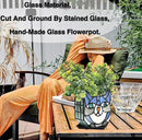 Indoor Plant Display Glass Container, Unique Pots for Plants, Glass Container Decoration,Suitable for Growing Small Plants 4.6x5.15x3 in （Excluding Plants） by GreenHaven Gardens