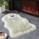 AMTOVO Faux Fur Rug, Light Grey Small Area Rug, Fluffy Sheepskin Rug, Fuzzy Ultra Soft 2 x 3 ft Shag Rugs for Bedroom Sofa Throw Cushion Room Decor, Sheepskin by CozyNest Decor