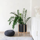 D'vine Dev Ceramic Planter with Natural Stand - 12 Inch Modern Round Flower Pot with Wood Planter Holder, Black, 55-B-J-2 by GreenHaven Gardens