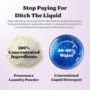 Pronounce Laundry Detergent Powder Alternative | Earth-Derived Ingredients, Eco-Friendly, Safer for Sensitive Skin, Eczema, and Babies. Stain + Smell Fighting. HE Safe (Lavender, 120 Loads). by TinyTreasures Baby Boutique