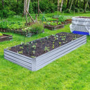 Galvanized Raised Garden Beds for Vegetables Large Metal Planter Box Steel Kit Flower Herb, 8x4x1ft by GreenHaven Gardens