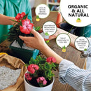 50QT Horticultural Perlite Bulk, Organic Perlite for Plants, Course Perlite for Gardening, for Plants Indoor, for Houseplants, to Promotes Soil Root Growth, and Water Drainage and Plant Growth(3-6mm) by GreenHaven Gardens