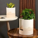 Nihow Self Watering Plant Pot: 8 Inch Ceramic Planter with Drainage Hole & Water Storage Plus for Indoor & Outdoor Plants - Cylinder Round Flower Pot for Succulent/Herbs/Violets - White & Wave Nature by CozyNest Decor